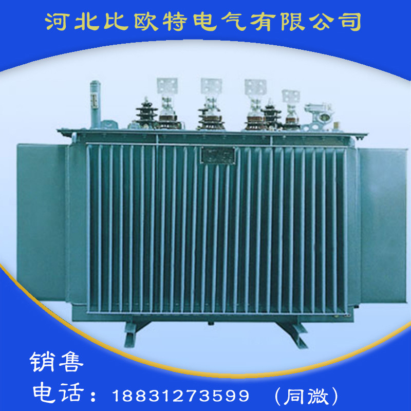 10KV级非晶合金油浸式变压器