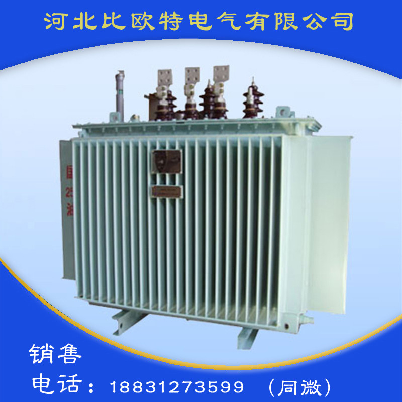 10KV级油浸式电力变压器